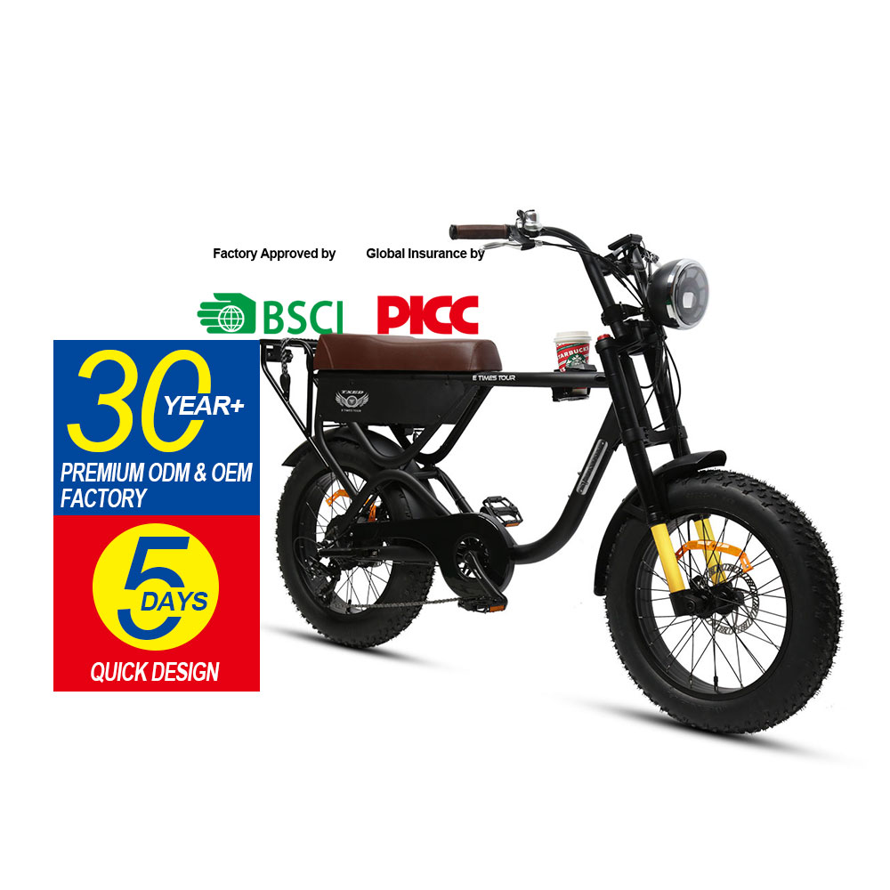 New Model High Quality 2 Seat Battery 48 Volt Electric Bikes Ebike Gear 7 Electric Bicycle Motorcycle 