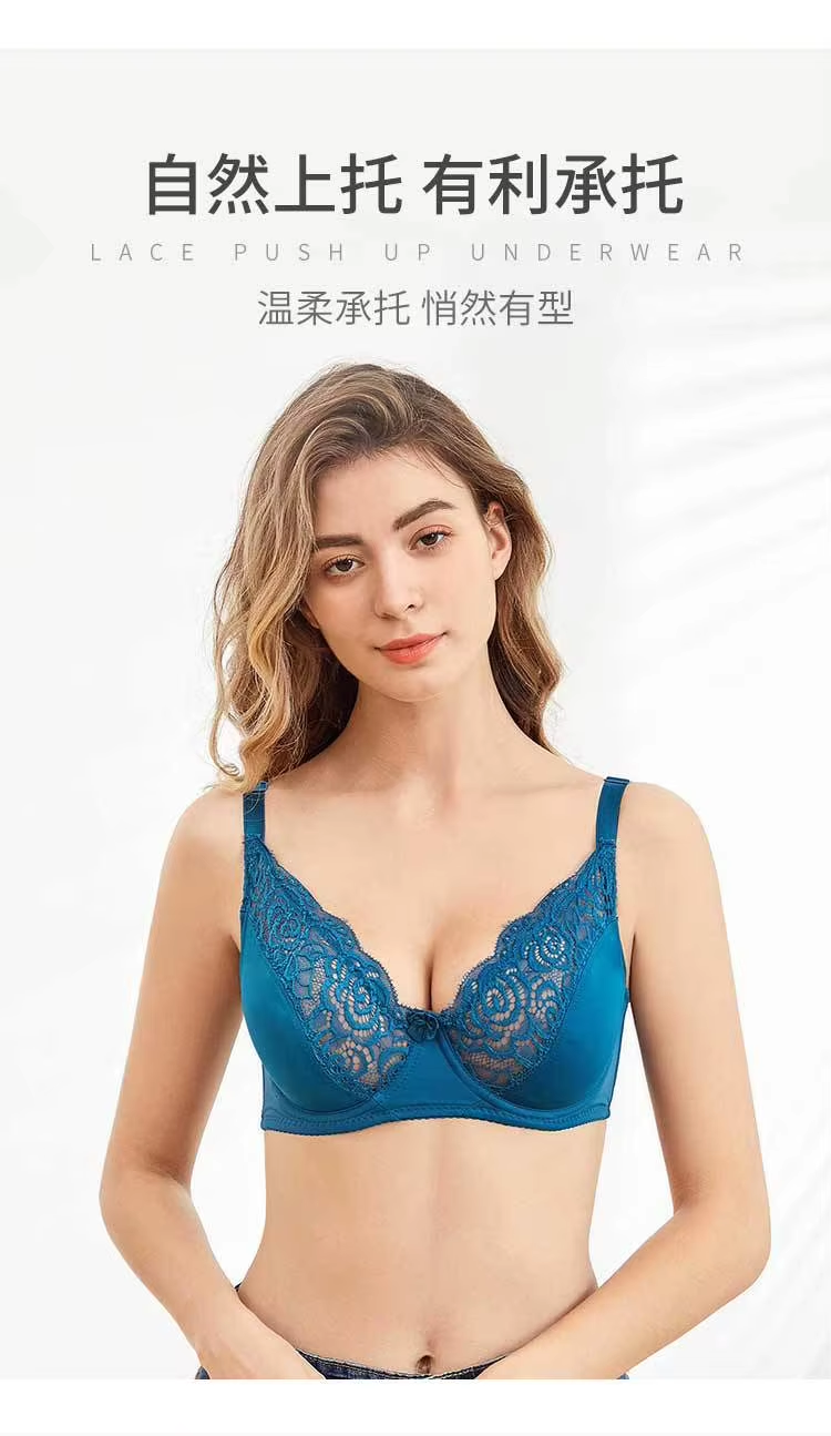 Lace Women's Bra Summer Breathable Sexy Bra Adjustable Lingerie with Underwire Comfort Bras Lingeries for Woman 75C-95D